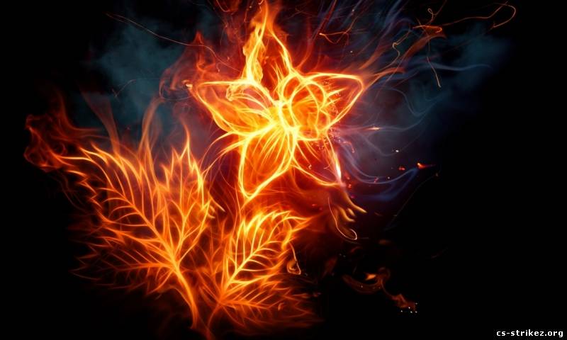 Огненый цветок